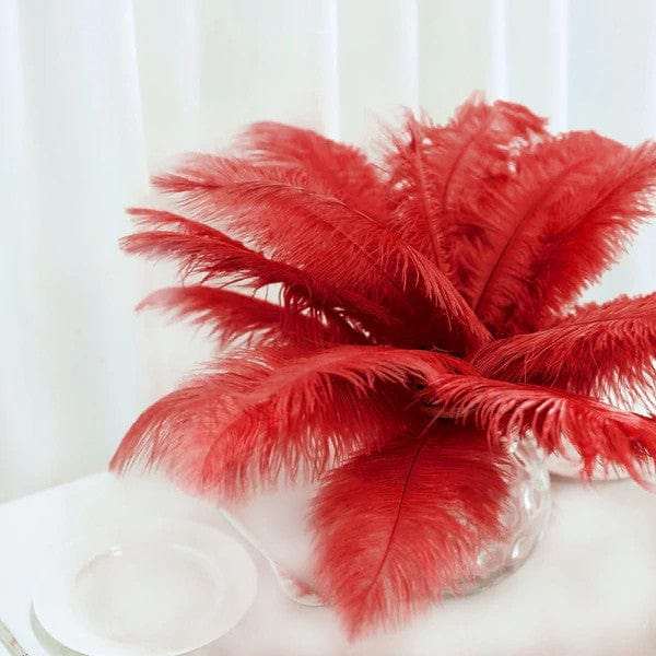 12 pcs 10-15" Authentic Ostrich Feathers