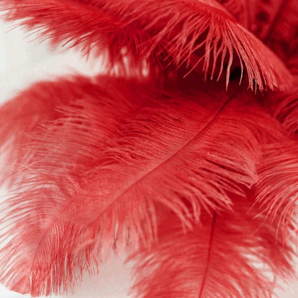 12 pcs 10-15" Authentic Ostrich Feathers