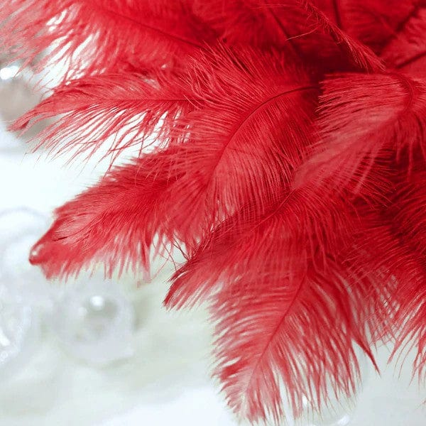 12 pcs 10-15" Authentic Ostrich Feathers