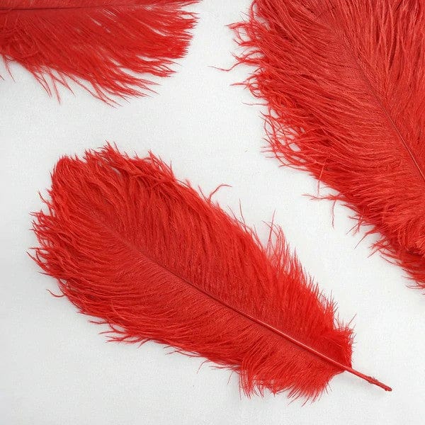 12 pcs 10-15" Authentic Ostrich Feathers