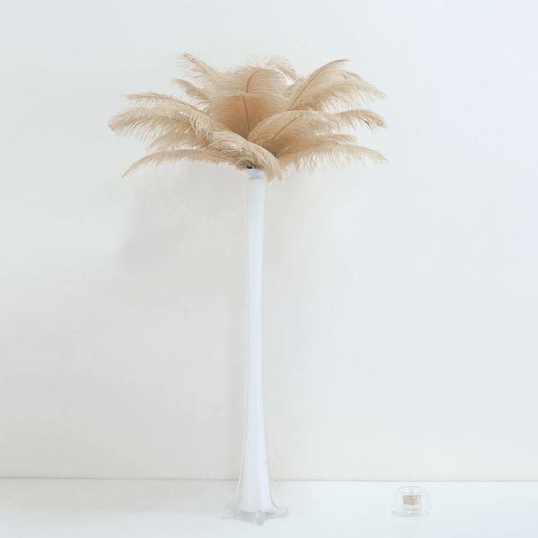 12 pcs 10-15" Authentic Ostrich Feathers OST35_081