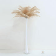 12 pcs 10-15" Authentic Ostrich Feathers OST35_081