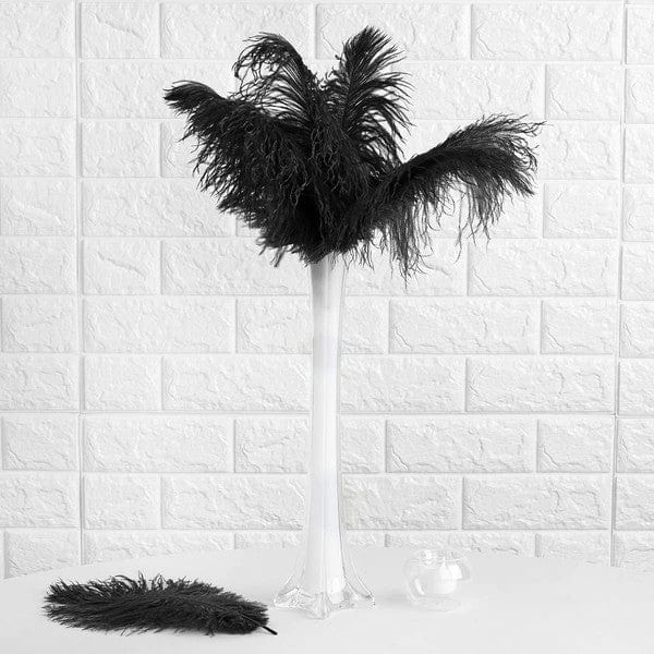 12 pcs 10-15" Authentic Ostrich Feathers OST35_BLK