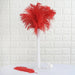 12 pcs 10-15" Authentic Ostrich Feathers OST35_RED