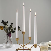 12 pcs 10" tall Premium Taper Candles