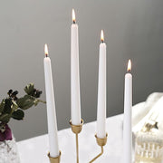12 pcs 10" tall Premium Taper Candles