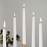 12 pcs 10" tall Premium Taper Candles
