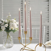 12 pcs 10" tall Premium Taper Candles
