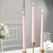 12 pcs 10" tall Premium Taper Candles