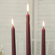 12 pcs 10" tall Premium Taper Candles