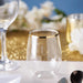 12 pcs 14 oz Clear with Gold Rim Stemless Plastic Wine Glasses - Disposable Tableware DSP_CUWN003_12_GOLD