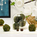 12 pcs 2" Natural Moss Ball Ornaments with Gold String Vase Fillers - Green MOSS_FILL_002_2_GRN