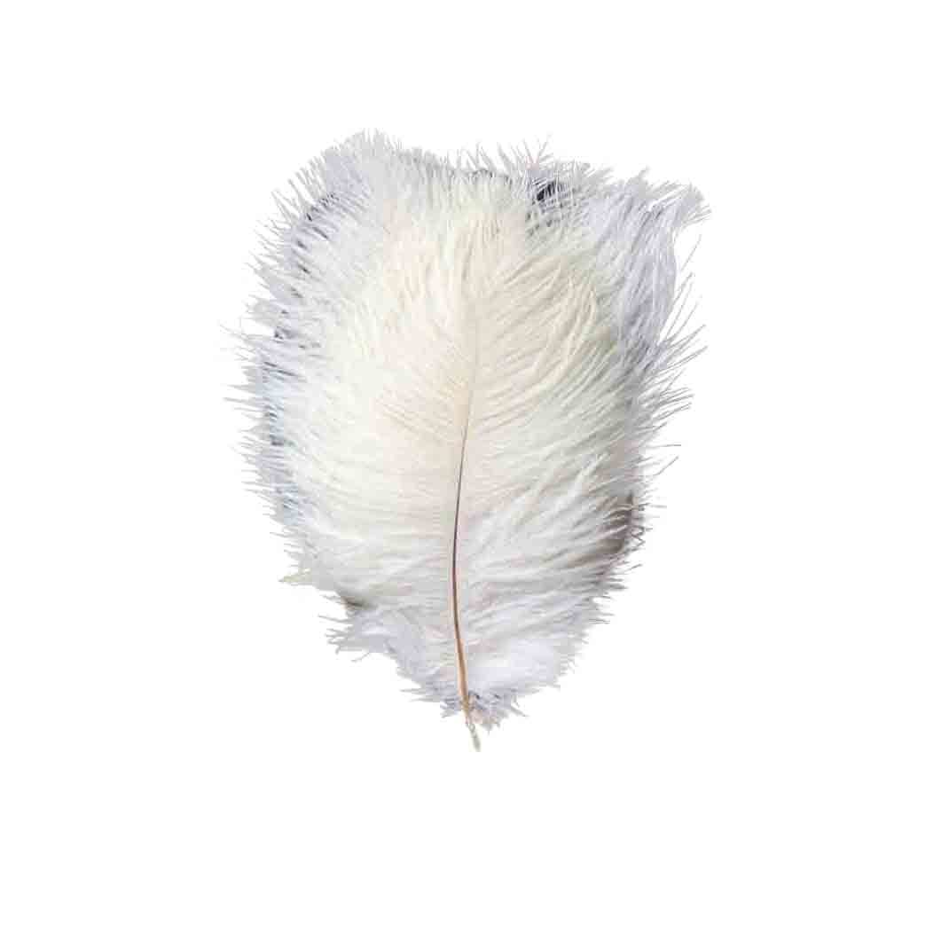 12 pcs 24"-26" long Genuine Ostrich Feathers for Centerpieces