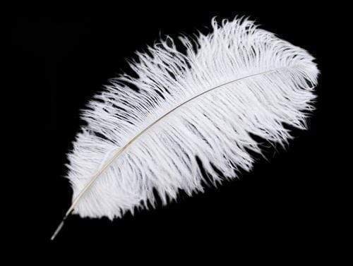 12 pcs 24"-26" long Genuine Ostrich Feathers for Centerpieces