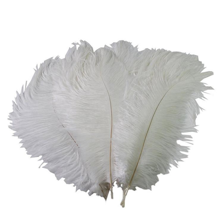 12 pcs 24"-26" long Genuine Ostrich Feathers for Centerpieces