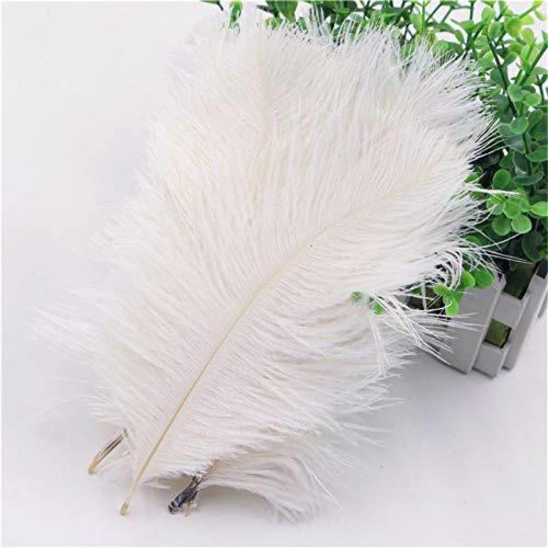 12 pcs 24"-26" long Genuine Ostrich Feathers for Centerpieces