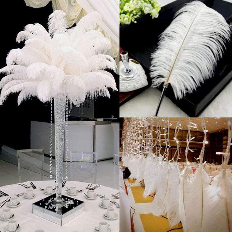 12 pcs 24"-26" long Genuine Ostrich Feathers for Centerpieces