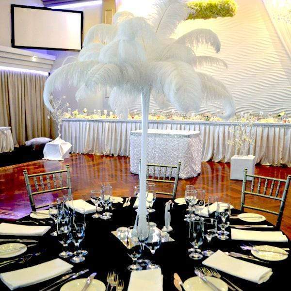 12 pcs 24"-26" long Genuine Ostrich Feathers for Centerpieces