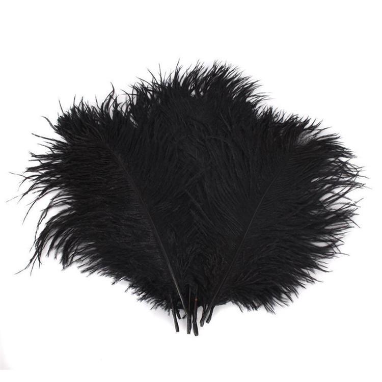 12 pcs 24"-26" long Genuine Ostrich Feathers for Centerpieces