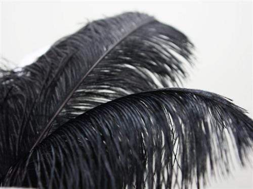 12 pcs 24"-26" long Genuine Ostrich Feathers for Centerpieces OST65_BLK