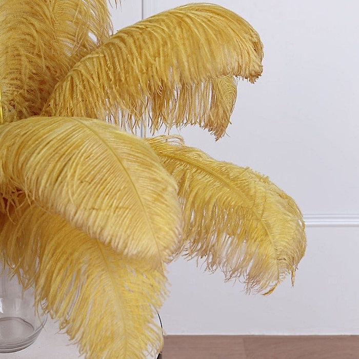 12 pcs 24"-26" long Genuine Ostrich Feathers for Centerpieces OST65_GOLD