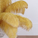 12 pcs 24"-26" long Genuine Ostrich Feathers for Centerpieces OST65_GOLD