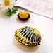 12 pcs 3.5" long Mini Sea Shells Favor Holders