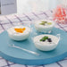 12 pcs 3 oz. Clear Round Waved Dessert Bowls - Single Serving Bowls - Disposable Tableware PLST_CUP12_CLR