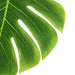 12 pcs Monstera Leaves Artificial Tropical Greenery - Green ARTI_TROP_004_GRN
