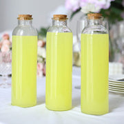 12 Round 16 oz Refillable Glass Bottles Storage Jars with Cork Stopper - Clear GLAS_JAR20_16_CLR