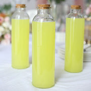 12 Round 16 oz Refillable Glass Bottles Storage Jars with Cork Stopper - Clear GLAS_JAR20_16_CLR