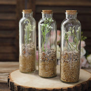 12 Round 16 oz Refillable Glass Bottles Storage Jars with Cork Stopper - Clear GLAS_JAR20_16_CLR