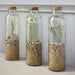 12 Round 16 oz Refillable Glass Bottles Storage Jars with Cork Stopper - Clear GLAS_JAR20_16_CLR