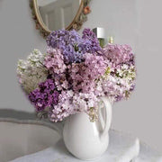 12 Silk Baby Breath Bushes