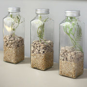 12 Square 12 oz Refillable Glass Bottles Storage Jars with Aluminum Caps - Clear GLAS_JAR21_12_CLR