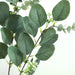 14 Stems 12" Artificial Eucalyptus Faux Leaves Sprays - Green ARTI_GRN_13_01