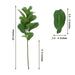 2 Bushes 25" Artificial Fiddle Leaves Stems - Green ARTI_GRN_12_S_01