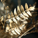 2 Metallic 21" Artificial Fern Leaf Branches Faux Foliage Stems - Gold ARTI_METLIC12_GOLD