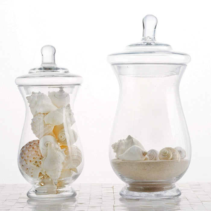 2 pcs 10" 12" tall Glass Apothecary Jars Containers with Lids - Clear GLAS_JAR09_CLR