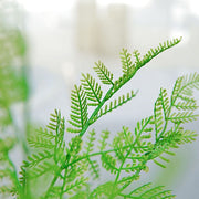 2 pcs 19" Asparagus Fern Artificial Leaves Greenery Stems - Green ARTI_FERN_007_GRN