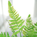 2 pcs 19" Faux Boston Fern Artificial Leaves Greenery Stems - Green ARTI_FERN_008_GRN