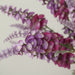 2 pcs 34" Silk Artificial Foxglove Orchid Flower Spray Stems