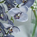 2 pcs 40" tall Faux Silk Orchid Flowers Sprays Stems