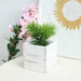 2 pcs 5" Natural Wood Square Plant Holder Boxes Centerpieces - White WOD_PLNT01_5x5_WHT1