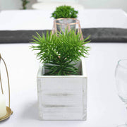 2 pcs 5" Natural Wood Square Plant Holder Boxes Centerpieces - White WOD_PLNT01_5x5_WHT1