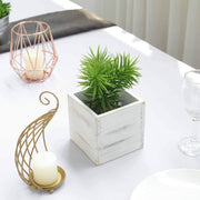 2 pcs 5" Natural Wood Square Plant Holder Boxes Centerpieces - White WOD_PLNT01_5x5_WHT1