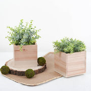 2 pcs 5" Natural Wood Square Plant Holder Boxes Centerpieces