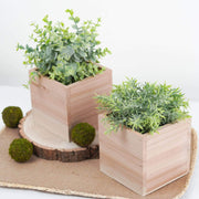 2 pcs 5" Natural Wood Square Plant Holder Boxes Centerpieces