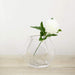 2 pcs 5" tall Glass Geometric Terrarium Vases - Clear VASE_A30_5