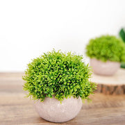 2 pcs 5" tall Mini Potted Boxwood Topiary Artificial Plants - Green and Gray ARTI_GRN_PT002_01